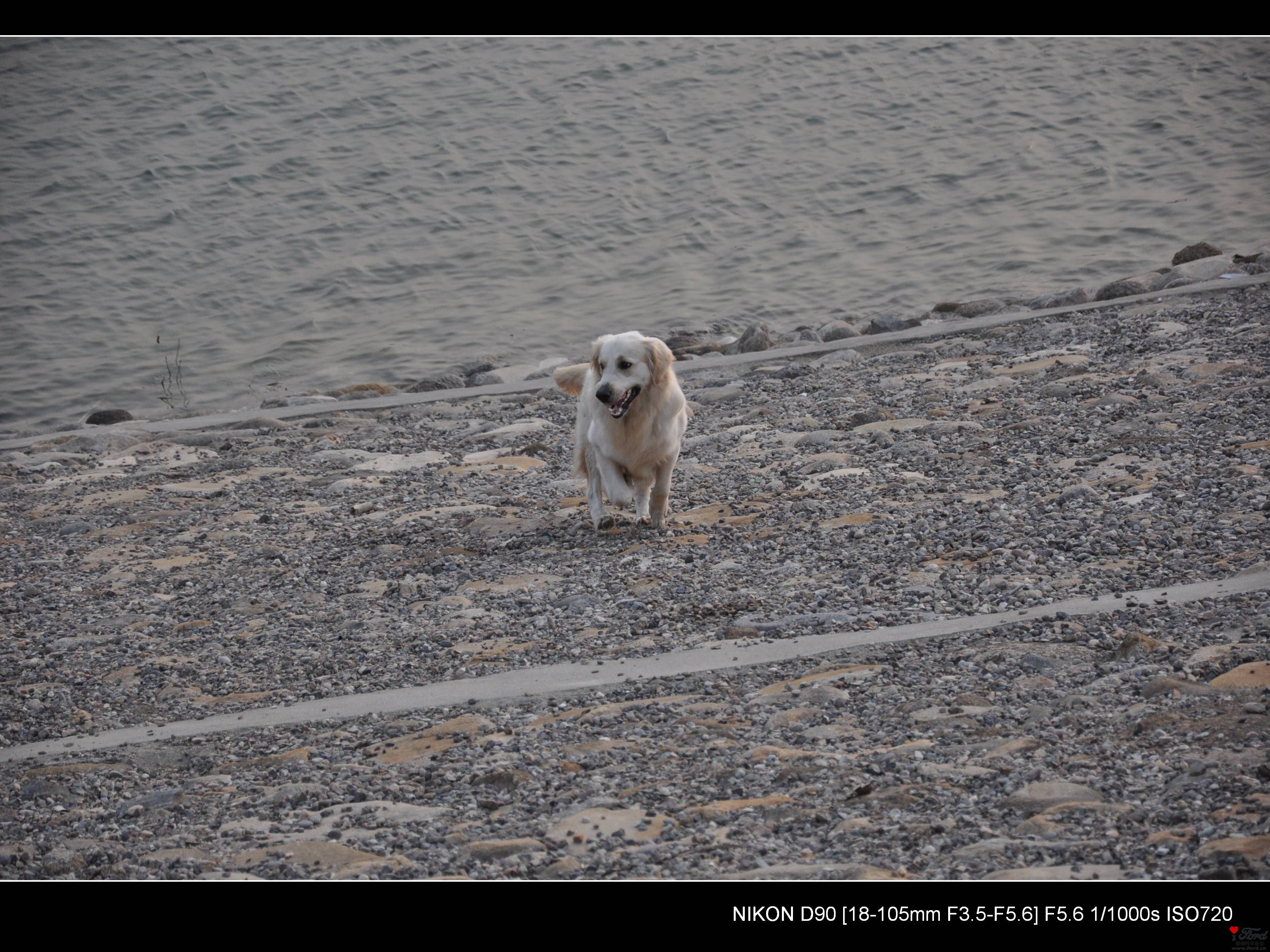 DSC_0741.jpg