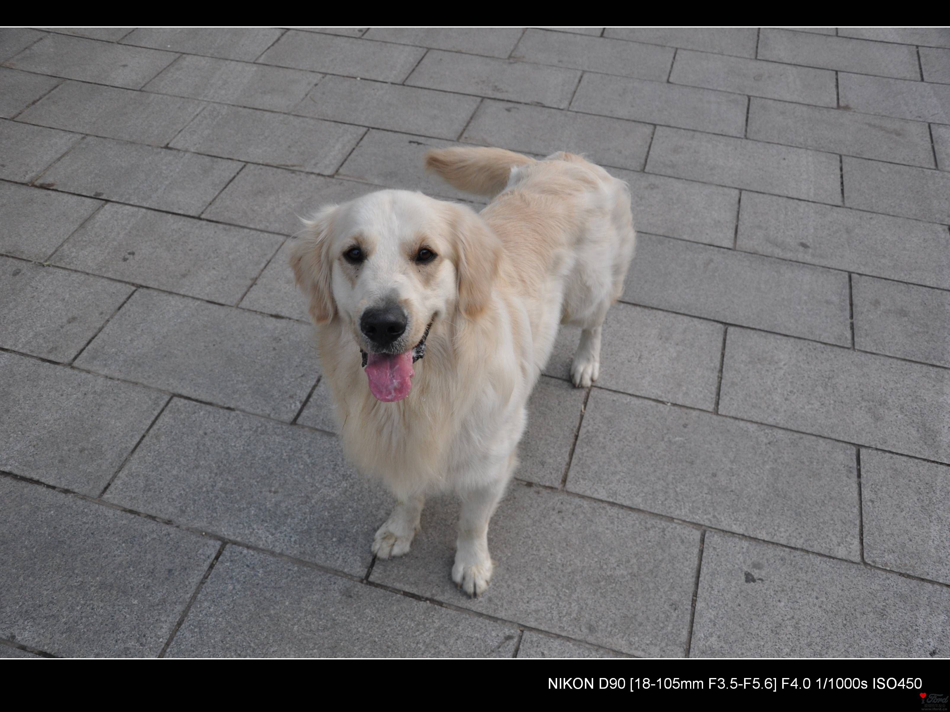 DSC_0772.jpg
