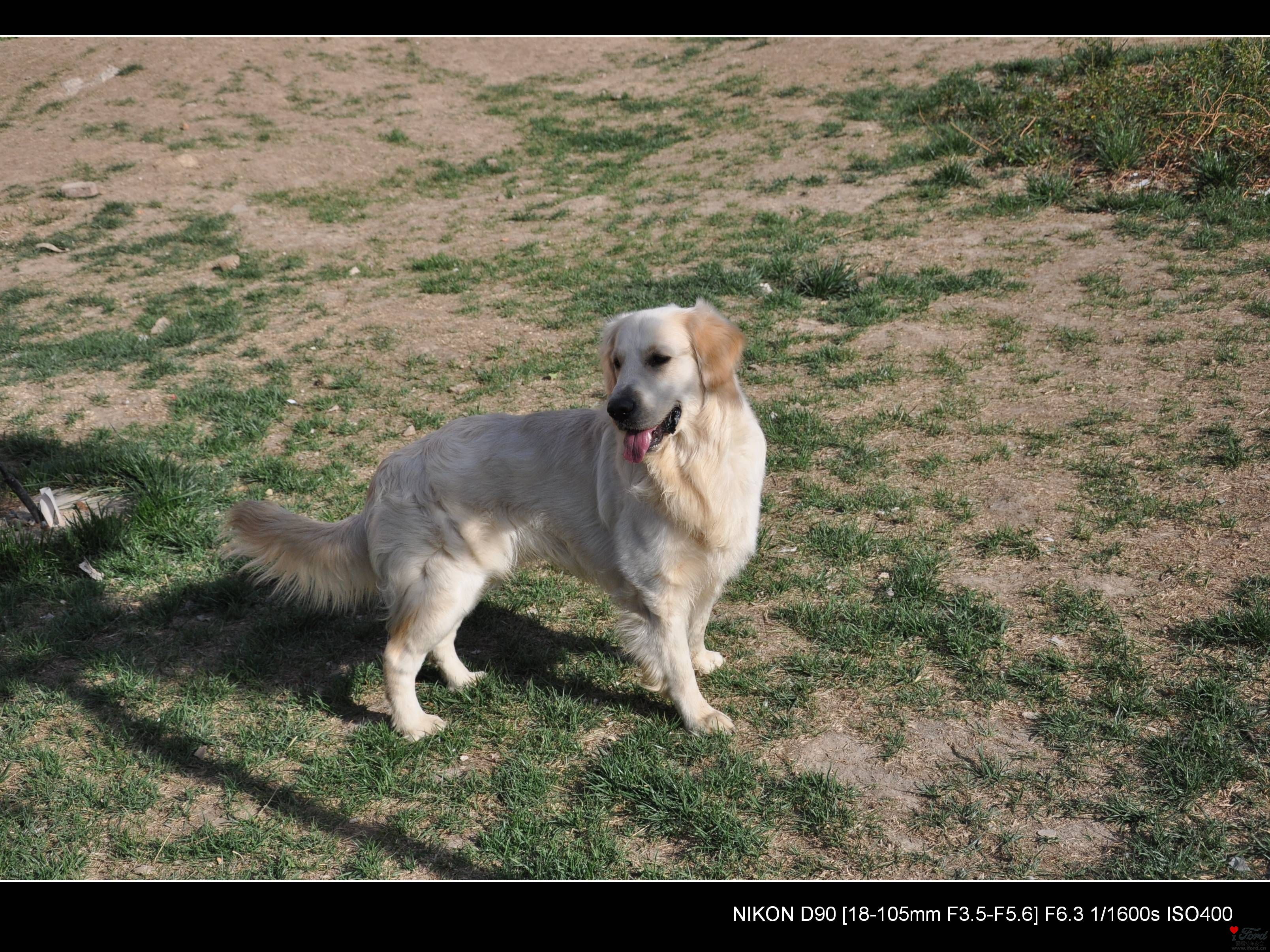 DSC_0648.jpg