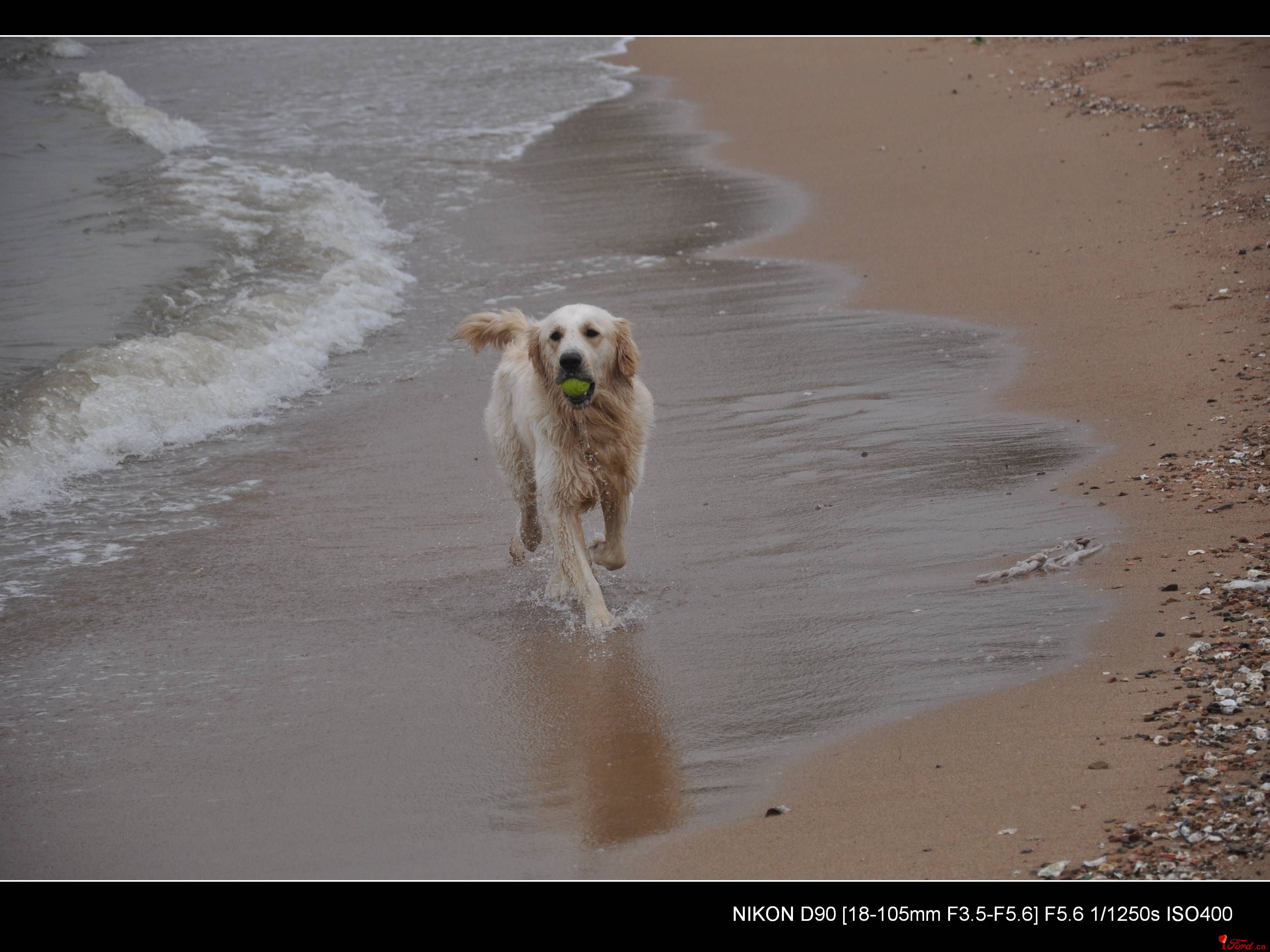 DSC_1093.jpg