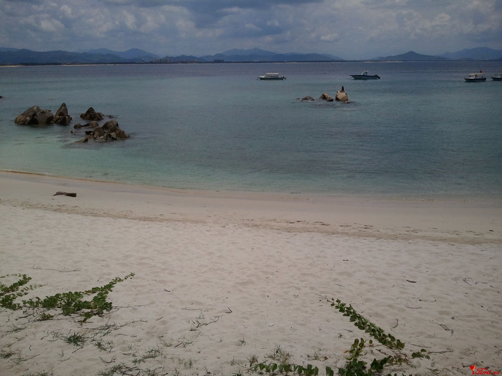 Ƭ0255.jpg