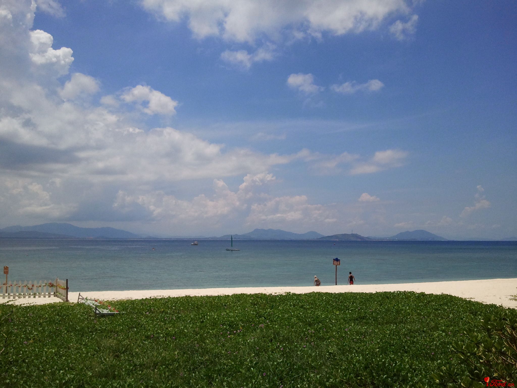 Ƭ0263.jpg