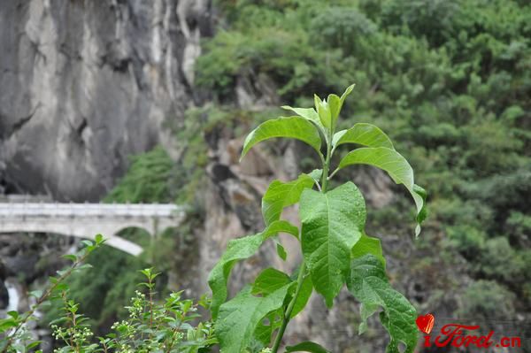 DSC_0340.JPG