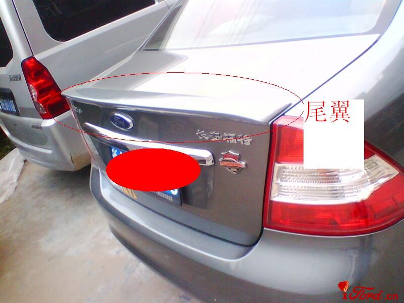 IMG0549A.jpg