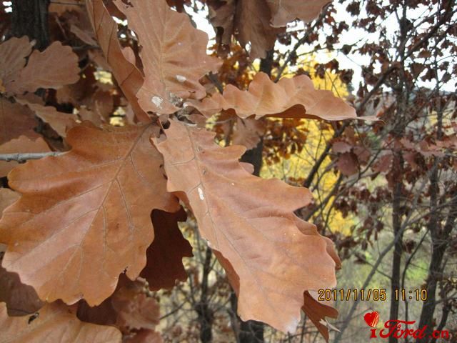 IMG_4057.jpg