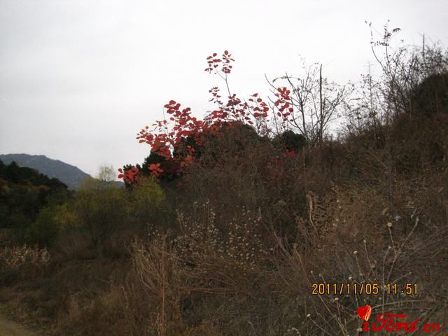 IMG_4157.jpg
