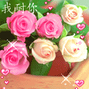 PA2006060200021_128-128-256-D.gif