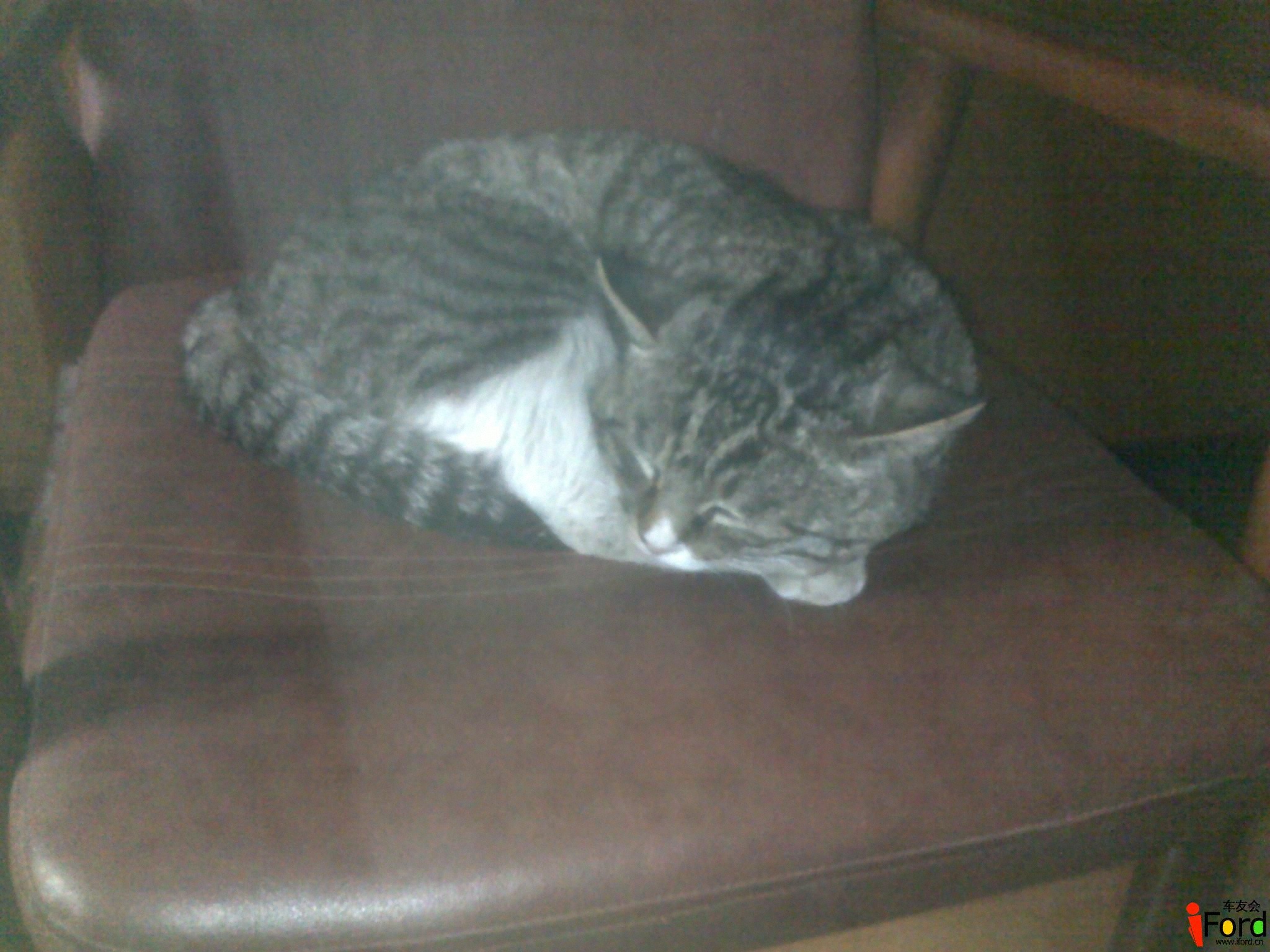 20120402283.jpg
