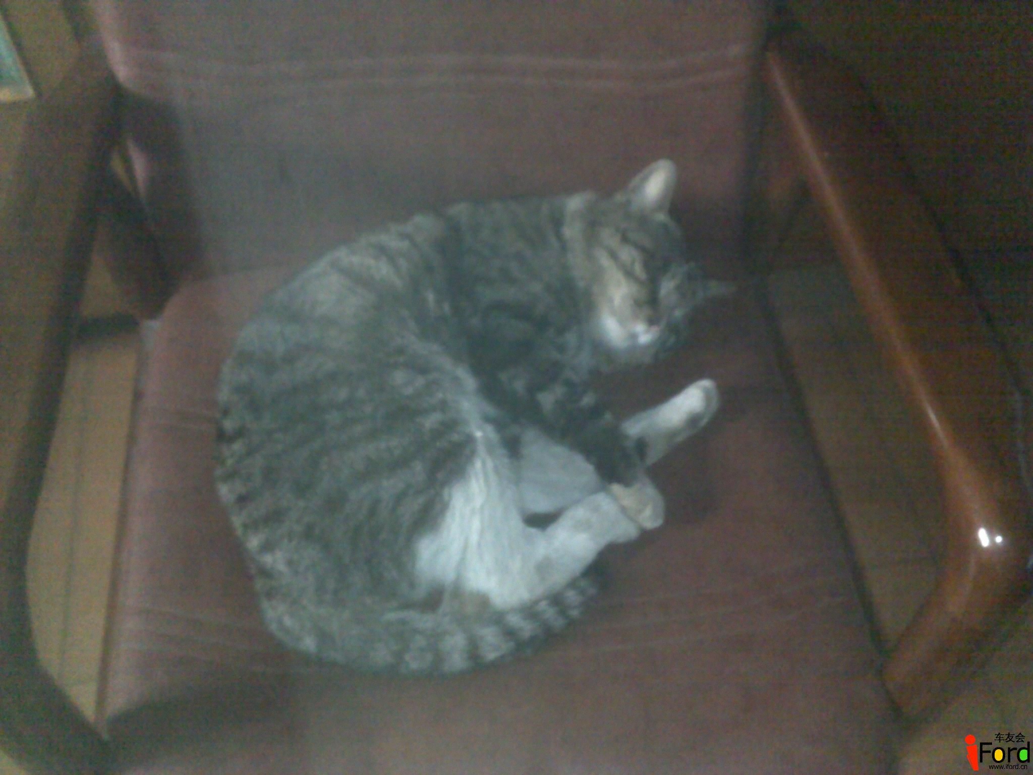 20120402284.jpg