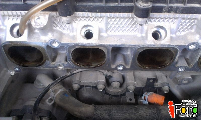 IMAG0174.jpg