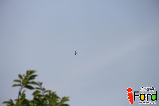 IMG_0809.JPG