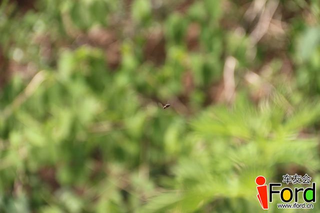 IMG_0821.JPG