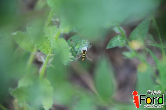 IMG_0843.JPG