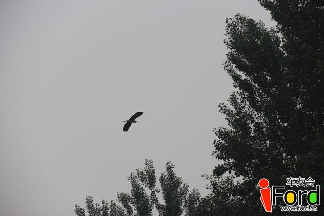 IMG_1377.JPG