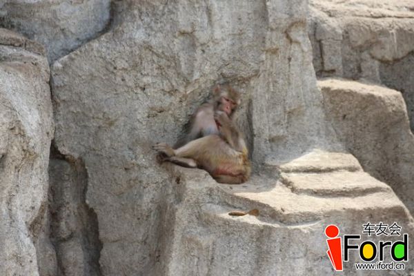 IMG_7535.JPG