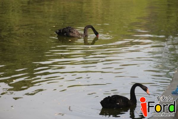 IMG_7763.JPG