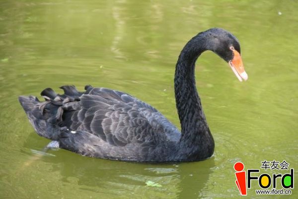 IMG_7766.JPG