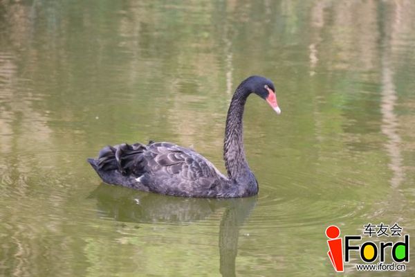 IMG_7769.JPG