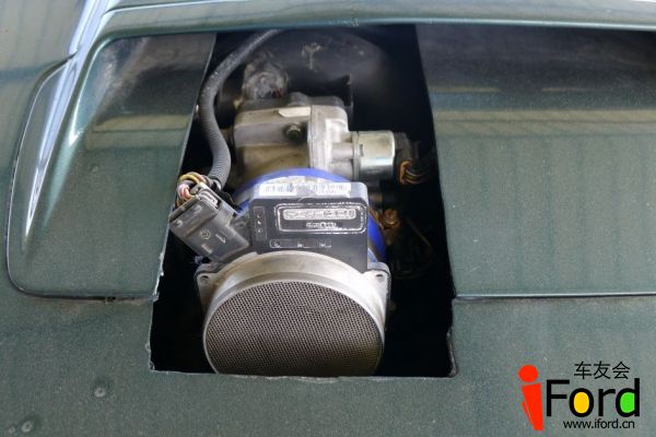 P1040391_compressed.jpg