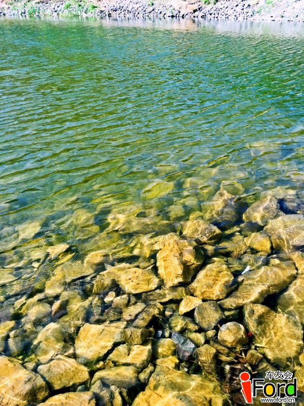 IMG_8029.JPG