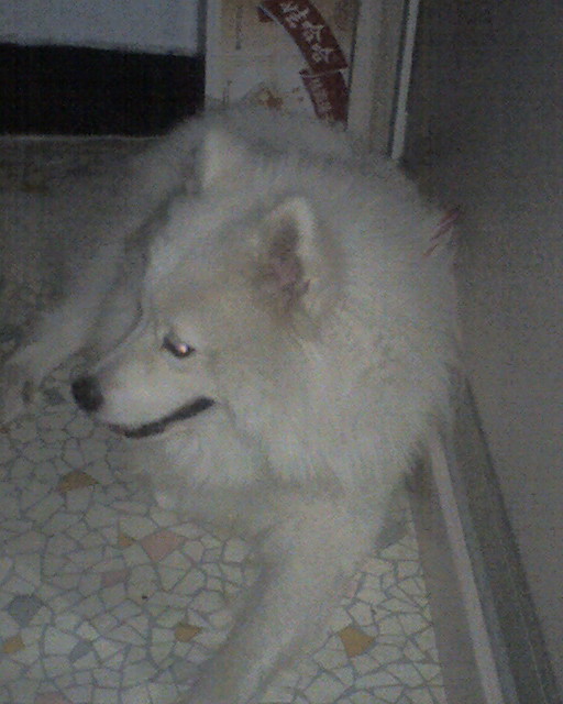 moto_0010.jpg