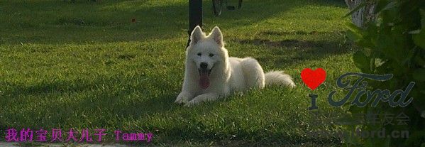20100704542_.jpg