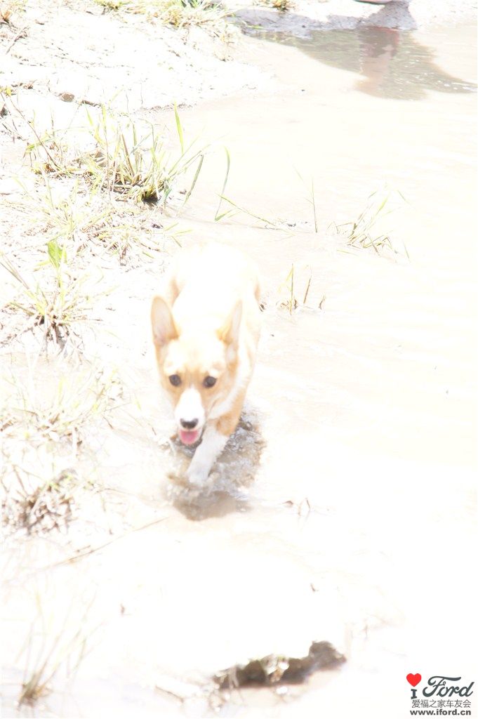 DSC01485_.jpg