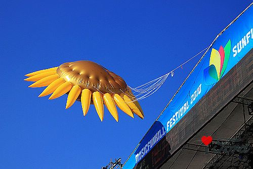 IMG_6472.jpg