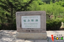 【周末出游】银山塔林-登高山-看古塔-敲大钟